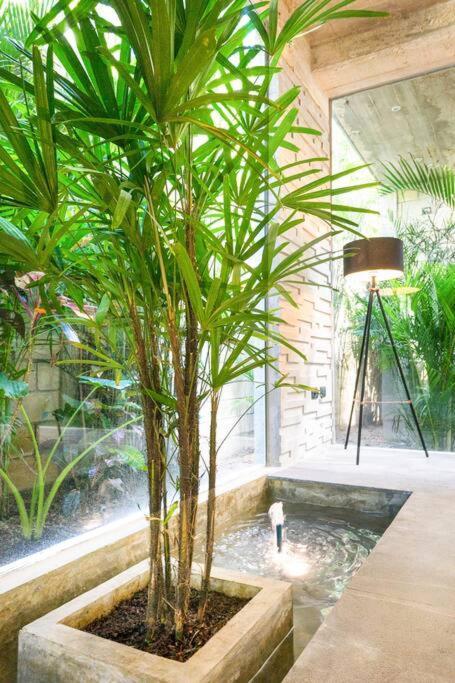 Villa Nimi Architectural Masterpiece Experience Private Pool & Great Concierge Service By Hum Living טולום מראה חיצוני תמונה